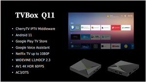 2025 Q11 Amlogic S905X4 Smart TV Box <span class=keywords><strong>Android</strong></span> <span class=keywords><strong>11</strong></span> 4GB 32GB 2,4G 5G DUAL Wifi Soporte BT Voice REMOTE TVBOX 8K 1000M Set-Top Box - Product Image 2