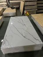 Panel de Pared de PVC con Acabado Brillante y Pintura UV, Diseño Moderno para Interiores, Paneles 3D con Efecto Mármol