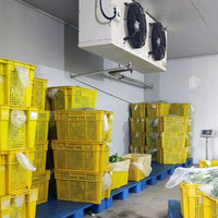 Commerciële Bananenrijpingsmachine Chambre Froide Koeleenheid Koelkamer Opslagcontainer Voor Groenten En Fruit