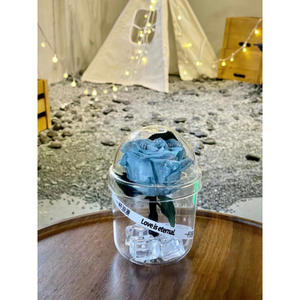 Ramo de rosas <span class=keywords><strong>eternas</strong></span> de lujo 2025 de larga duración en taza Regalo de Navidad romántico para sus flores preservadas - Product Image 1