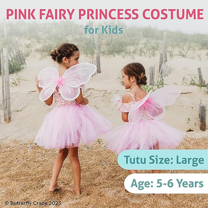 sachin and babi light blue dress Fairy Princess Dress Tinkerbell Costume Little Girls Fancy Birthday Dress Up  Halloween Cosplay Outfit with Butterfly Wings main image 1