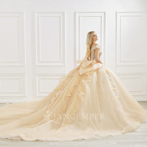 Robe de bal de Quinceañera Princesse Champagne, style princesse, avec décolleté cœur, appliques en dentelle, broderies, sequins, couleur bonbon et traîne chapelle, élégante - Product Image 3