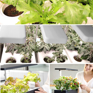 J & C Thông Minh Coco Than Bùn Đất Khối Với Dinh Dưỡng 10 cái/bộ Cho Phát triển Hữu Cơ Sợi Than Bùn Viên Cho Cây Giống - Product Image 6