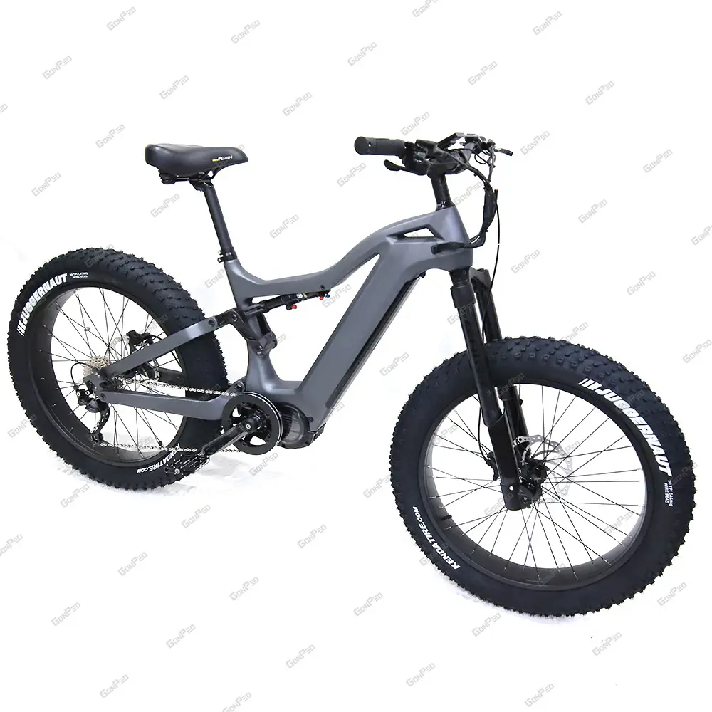 Bici elettrica Fat Tire 1000W bafang ultra m620 mid drive bicicletta elettrica da montagna in fibra di carbonio Ebike