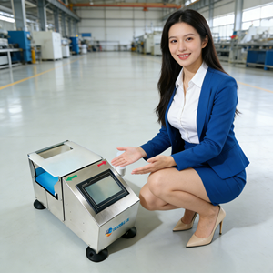 Kontrollwaage Mini-Prüfwaage Dynamische Industrielle Inline-Wiegewaagen, OEM/ODM Inline-Gewichtsprüfer für Kleine Beutel - Product Image 4