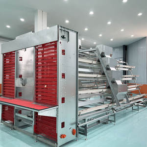 Système d'Élevage Avicole Automatique pour 10 000 Poules Ponduses, Cage à Poulets Étagée à 4 Niveaux pour la Production d'Œufs, à Vendre - Product Image 1