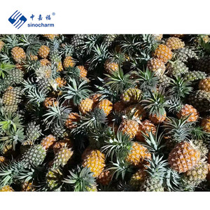 ซิโนชาร์ม ผลิตภัณฑ์มาตรฐาน HACCP 4 ดาว ราคาโรงงาน ผู้จัดจำหน่าย ลูกสับปะรด IQF หวาน ขนาด 6 มม. ผลไม้เขตร้อนแช่แข็งสำหรับน้ำสับปะรด - Product Image 4