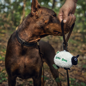 Vente chaude propre marque mouton vert tabouret distributeur de sac facile à transporter avec un rouleau de merde Ba - Product Image 4