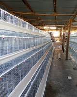 Cage à oiseaux de haute qualité à 3 niveaux pour 96 oiseaux