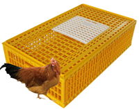 Cage à cailles en plastique en parfait état, élevages avicoles, cages en acier empilables, cages de transport automatiques pour poulets