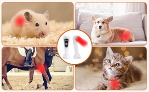Pet Light <span class=keywords><strong>Therapy</strong></span> Device 810nm + 650nm infravermelho para cão pós-cirurgia ferida apoio - Product Image 3