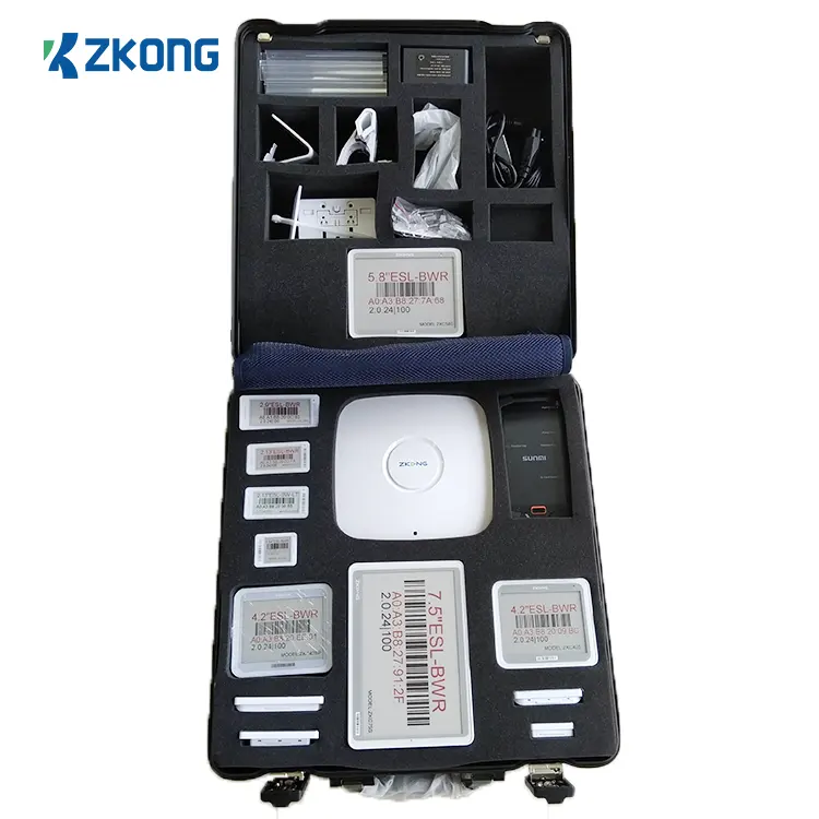 Zkong Active Rfid Tag campioni Esl professionali prezzo digitale Tag Demo Box Kit Demo etichetta elettronica scaffale