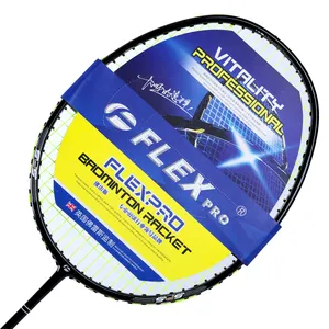 1 ensemble Professionnel Badminton Kit 2Pcs Raquettes + 3pcs Volant + Sac de Transport Intérieur En Plein Air Jeu Occasionnel Jeu de Sport Accessoire