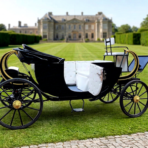 Chariot de tourisme électrique sans chevaux noir en promotion – Carrosse royal de tourisme de haute qualité - Product Image 1