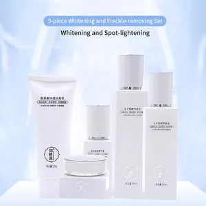 OEM Private Label Natural Anti Aging Anti Acne Whitening Lightening Cream Face Care 5PCS Skin Care Set