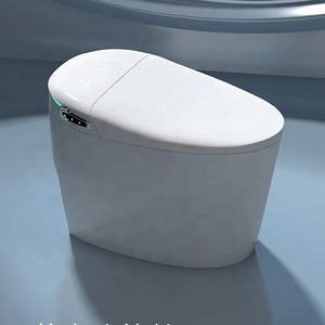 Intelligent Toilet <strong>Commode</strong> Chair Toilet <strong>Commodes</strong> for Bedroom - Product Image 1