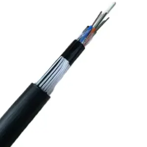 Hot Sale Fibre Optic Cable Flat FRP Armoured Anti Rodent G652D Dielectric Cable for Network Anti Rat Bite Fibre Cables 24 Cores