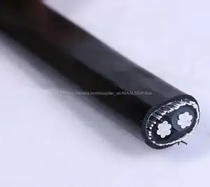 0,6/1KV 2x16 mm2, 2x10 mm2 PVC Isolierung einphasig Konzentrischen Aluminium Kabel In Kenia