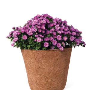 Jardinière suspendue en métal, pot à fleurs en coco, en fibre de coco - Product Image 2