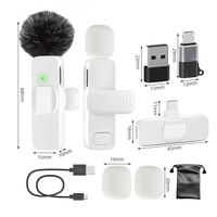Microfono Lavalier Wireless 2.4GHz Mini per Telefono, Plug-and-Play, per Insegnamento, Registrazione, Streaming Live e Podcast