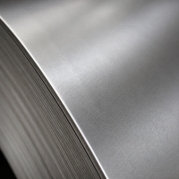 Bobina de Acero al Carbono Laminado en Frío SJTSTEEL DC01, Lámina de Acero Suave Grado SPCC para Fabricación de Cajas y Contenedores Metálicos