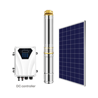 Pompe à eau solaire submersible à haute efficacité 24V 300W DC pour système agricole
