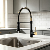 Keran Dapur Modern Hitam Stainless Steel Tarik Turun, Tuas Tunggal, Pemasangan di Dek, Air Panas Dingin, Mixer Wastafel dengan Keramik Premium