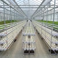 Système de culture hydroponique NFT vertical d'intérieur, vente en gros d'usine, légumes-feuilles, système de tuyaux NFT en PVC