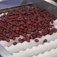 Machine de tri par piqûres de dattes rouges Machine à dénoyauter les fruits secs Machine à laver les dates de séchage Ligne de production de pâte à poudre