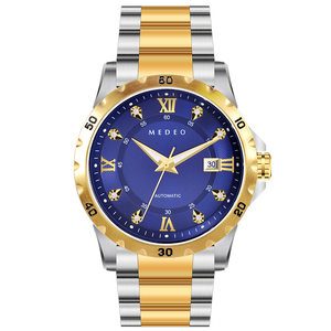 Hochwertige Herren-Taucher armbanduhr aus Edelstahl Wasserdichte automatische mechanische goldene Uhr 22mm Band breite analoges Zifferblatt - Product Image 1