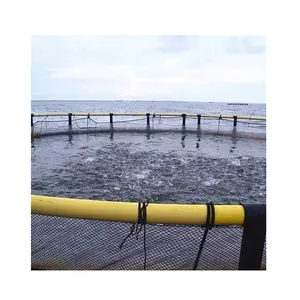 Cages flottantes Hapa pour l'aquaculture et l'élevage <span class=keywords><strong>de</strong></span> poissons : Pièges pour <span class=keywords><strong>Tilapia</strong></span> et Bar - Product Image 1
