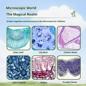 Kit scientifique éducatif pour étudiants et tout-petits WEIAI avec lumière LED et loupe, <span class=keywords><strong>microscope</strong></span> numérique portable miniature <span class=keywords><strong>800X</strong></span> pour les bactéries - Product Image 4