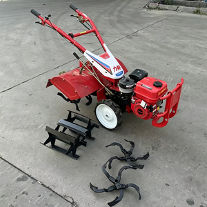 Motoculteur <span class=keywords><strong>à</strong></span> essence haute efficacité avec lame rotative pour serres et terres agricoles - Product Image 2