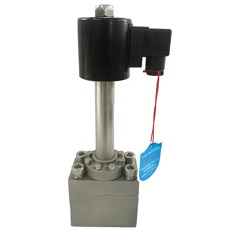 1,6 MPa 16 Bar DC 24 V Kryogenes Solenoidventil 1/2 Zoll Edelstahl-Flüssigstoff-Stickstoffventil für Niedertemperaturanwendungen