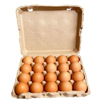 Boîte à œufs en pulpe épaissie, écologique, personnalisable, emballage alimentaire en pulpe, boîte à œufs pour 20 œufs, boîte d'emballage pour le stockage