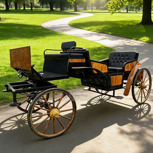 Carruaje Real de Caballos, Carruaje de Lujo para Bodas, Alquiler de Carruaje de Caballos Estilo Cenicienta para Celebraciones en Parques - Product Image 2