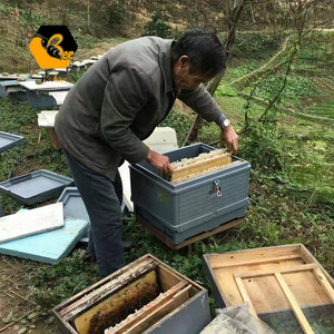 <span class=keywords><strong>Ruche</strong></span> à abeilles en plastique empilable à 3 niveaux |   PP <span class=keywords><strong>de</strong></span> qualité alimentaire + stabilisateur UV |   <span class=keywords><strong>Ruche</strong></span> commerciale pour l'apiculture durable - Product Image 4