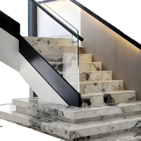 Chine Usine Italien Unique Veine Pierre Naturelle Argent Astérix Granit Poli Intérieur Plancher Escalier Étape Antidérapant
