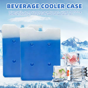 Briques de glace isothermes réutilisables en PEHD, longue durée, directement de l'usine, pour le stockage médical d'échantillons sanguins et la <span class=keywords><strong>livraison</strong></span> alimentaire en extérieur - Product Image 4