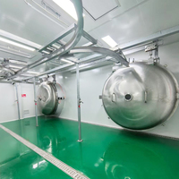 Commerciële grote capaciteit lage temperatuur vriesdrooginstallatie vacuümsublimatielijn voor de productie van aardbeien, durian en fruitchips.