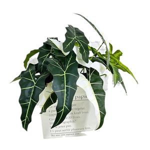 Plantas Artificiales <span class=keywords><strong>de</strong></span> <span class=keywords><strong>Colocasia</strong></span> Ecológicas, Decoración para el Hogar, Escenarios, Bodas y Fotografía - Product Image 4