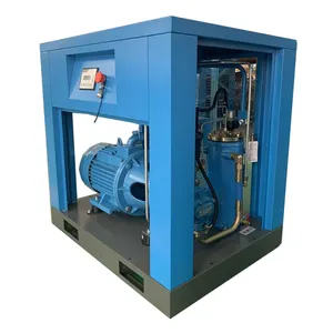 Vite Compressore D'aria Con Air Dryer Compressore Parti di Ricambio