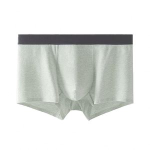 Boxers en coton pour <span class=keywords><strong>homme</strong></span>, confortables, à porter au quotidien, <span class=keywords><strong>lot</strong></span> en gros, boxers sans couture pour <span class=keywords><strong>homme</strong></span> - Product Image 6
