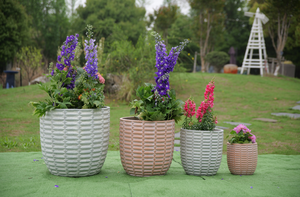 Maceta de Cerámica para Jardín, Resistente a la Humedad y Transpirable, para Plantas Tropicales - Product Image 6