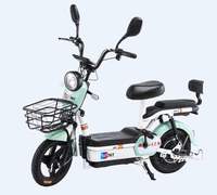 Bicicleta Eléctrica de 2 Plazas con Marco de Acero, Motor sin Escobillas de 500W, 3 Velocidades, Suspensión Trasera, Batería de Plomo-Ácido de 48V, Ruedas de 14 Pulgadas, 50 km/h, Sensor, Ligera