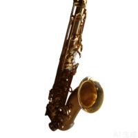 Eastern Music Gold Lacquer Brass Body Bb Tenor Saxophone Ala 82 Professional Wind Instrument for Performance
