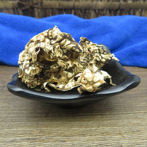 Lao Long Pi, Hongo Pulmonar Crudo Seco, Líquen Pulmonar, Hongo Pulmonar <span class=keywords><strong>de</strong></span> <span class=keywords><strong>Roble</strong></span> Silvestre en Venta - Product Image 4