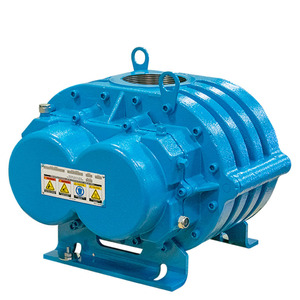 เครื่องเป่าลมแบบหมุน MD Pneumatics รุ่น CP Series แบบดิสเพลสเมนต์เชิงบวก ทำจากเหล็กหล่อ ความเร็ว 1725 รอบต่อนาที แรงดันต่ำ ใช้ลม - Product Image 1