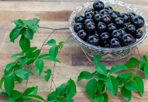 Hoogwaardige Wilde Acaibessenpoeder 99% Pure Anthocyanen Fruitextract - Product Image 2