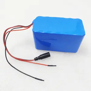 Custom 12V 24V 36V 48V Lithium Li ion Battery Pack Suppliers